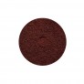 CASTANHO