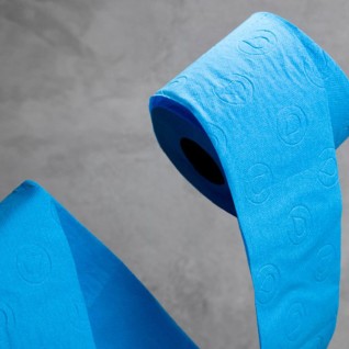 Papel Higinico Renova Azul