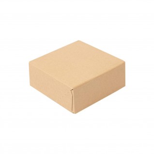 Caixas Sushi ThePack 10 x 10 x 4 cm Natural Nano-Micro