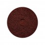 CASTANHO