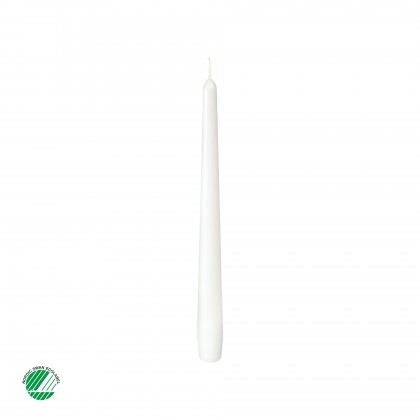 Velas Antigas Estearina 255 x 20 mm 6,5h Branco