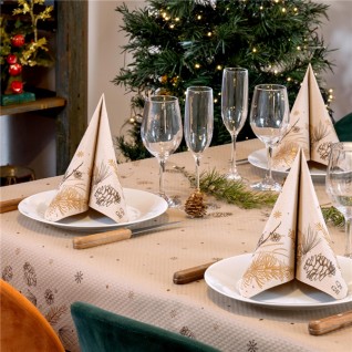Rolo de Toalha de Mesa Winter 48 gr/m2 1,2 x 50 m Reciclado