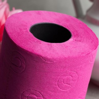 Papel Higi�nico Renova F�csia